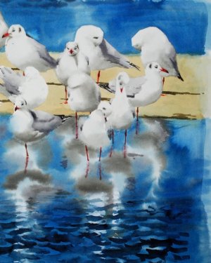 BenWoodhams_maager-seagulls-akvarel-watercolour_small.jpg